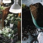 10 Tricks and Ideas to Organize the Perfect Potting Shed
