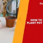 How to Decorate A Plant Pot With The Kids