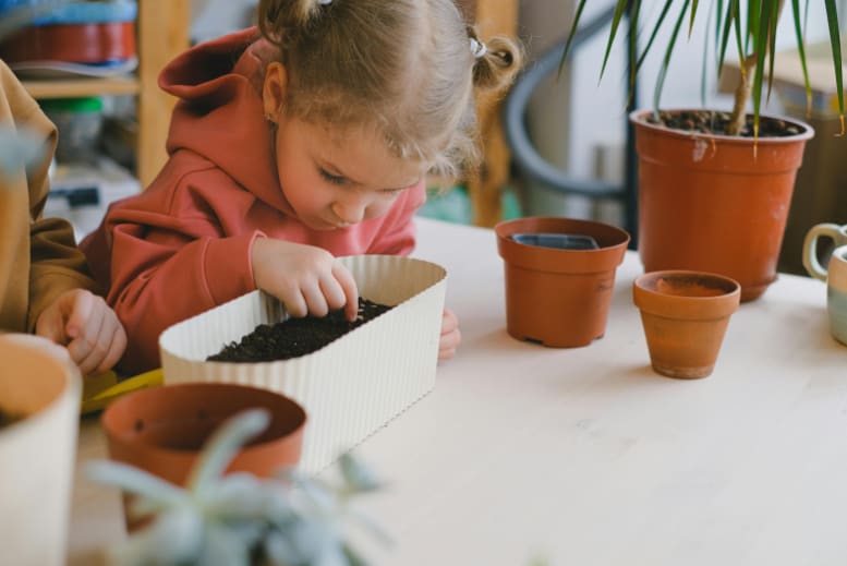 Little girl touching seeds on a pot.