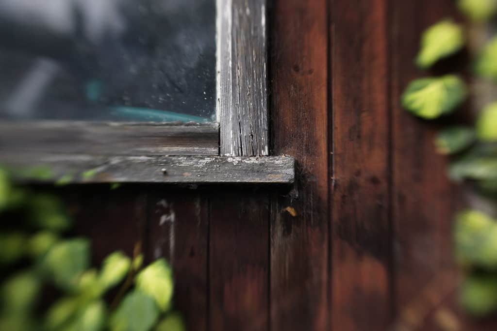 A close up shot of a shed's window frame