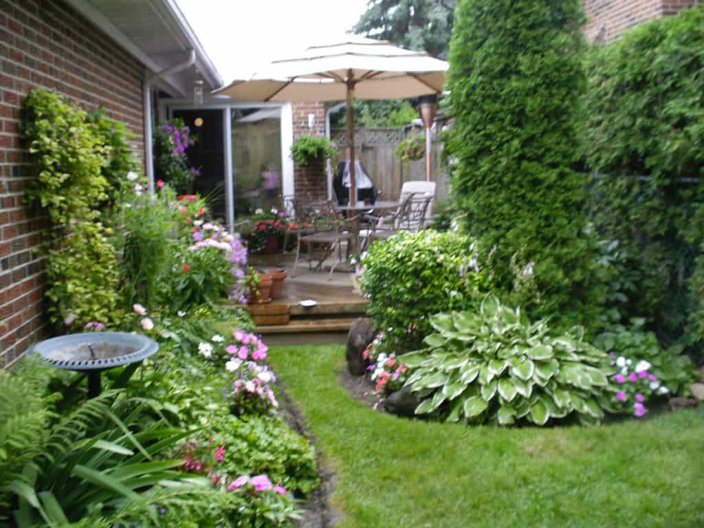 Small backyard oasis with a trellis supporting a vibrant vertical garden. A charming bird bath nestled in a lush garden bed