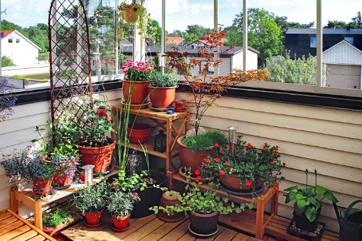 Balcony garden adorned with an array of potted plants.