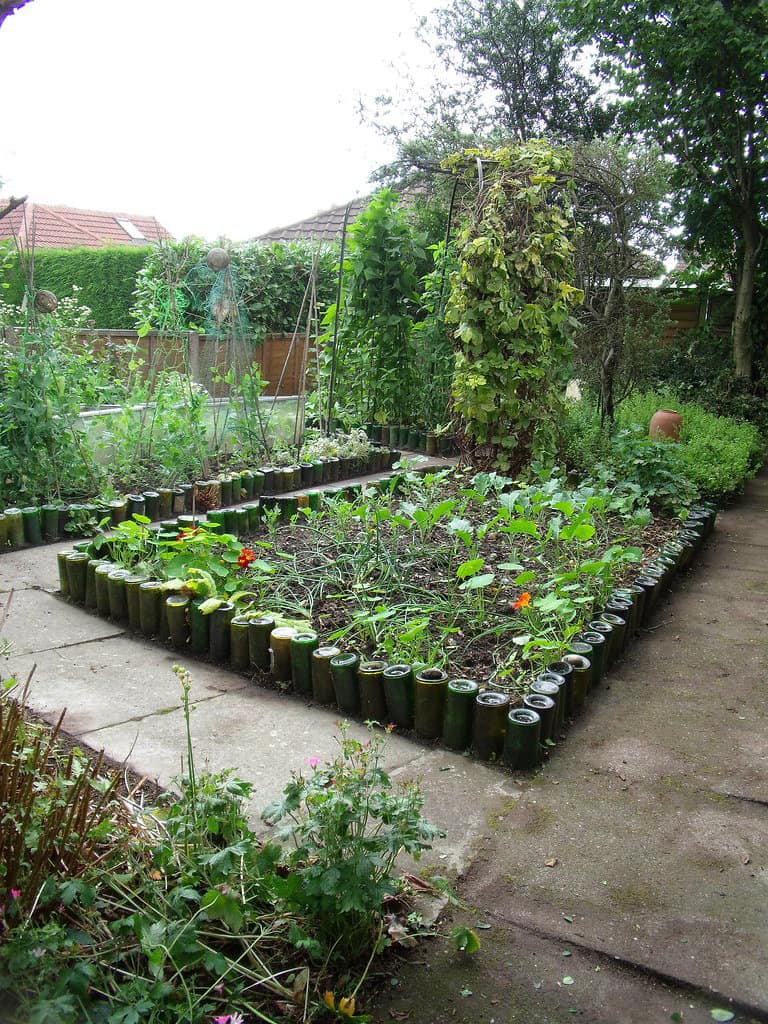 A mini summer vegetable patch with bottle edging.