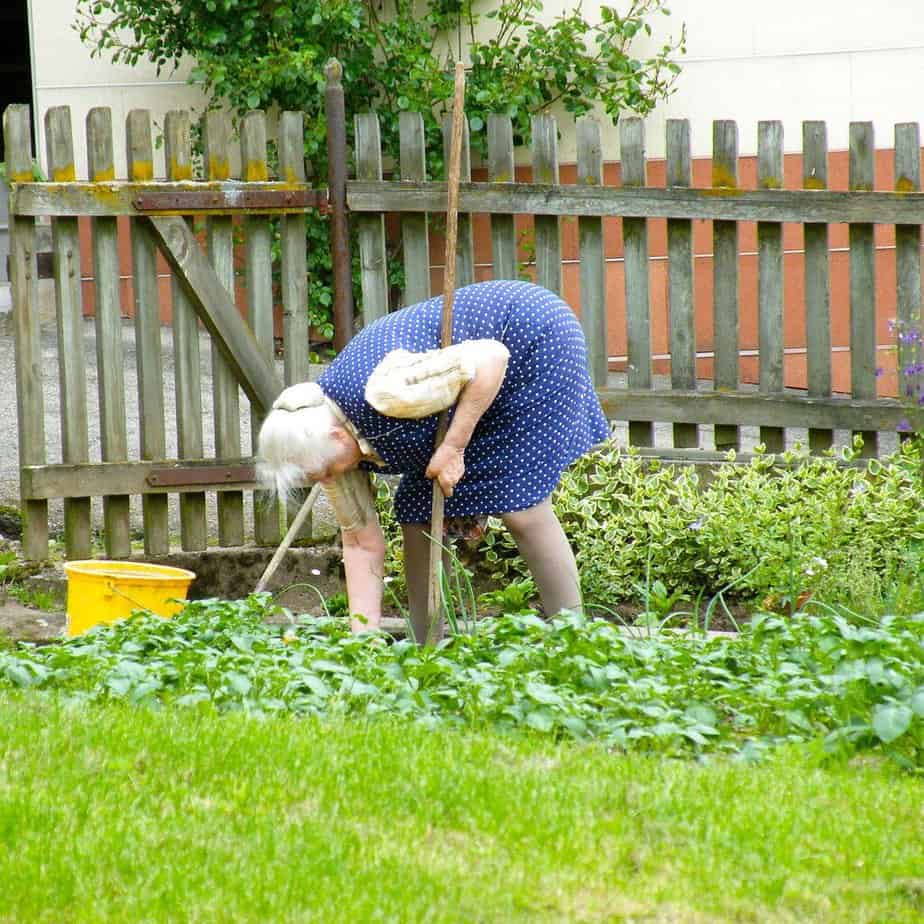A woman tending her vegetable patch
