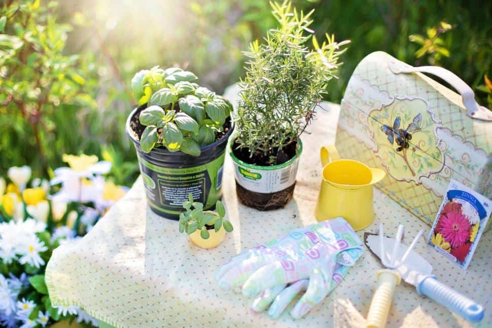 A variety of gardening tools on a table with some potted plants