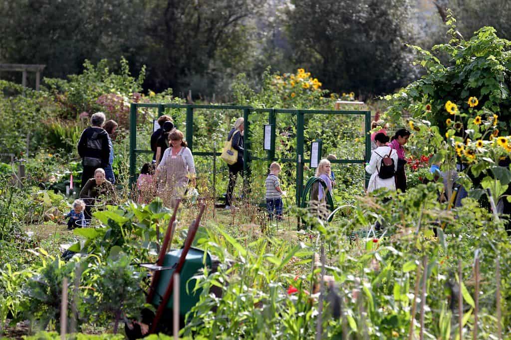 People at a community garden