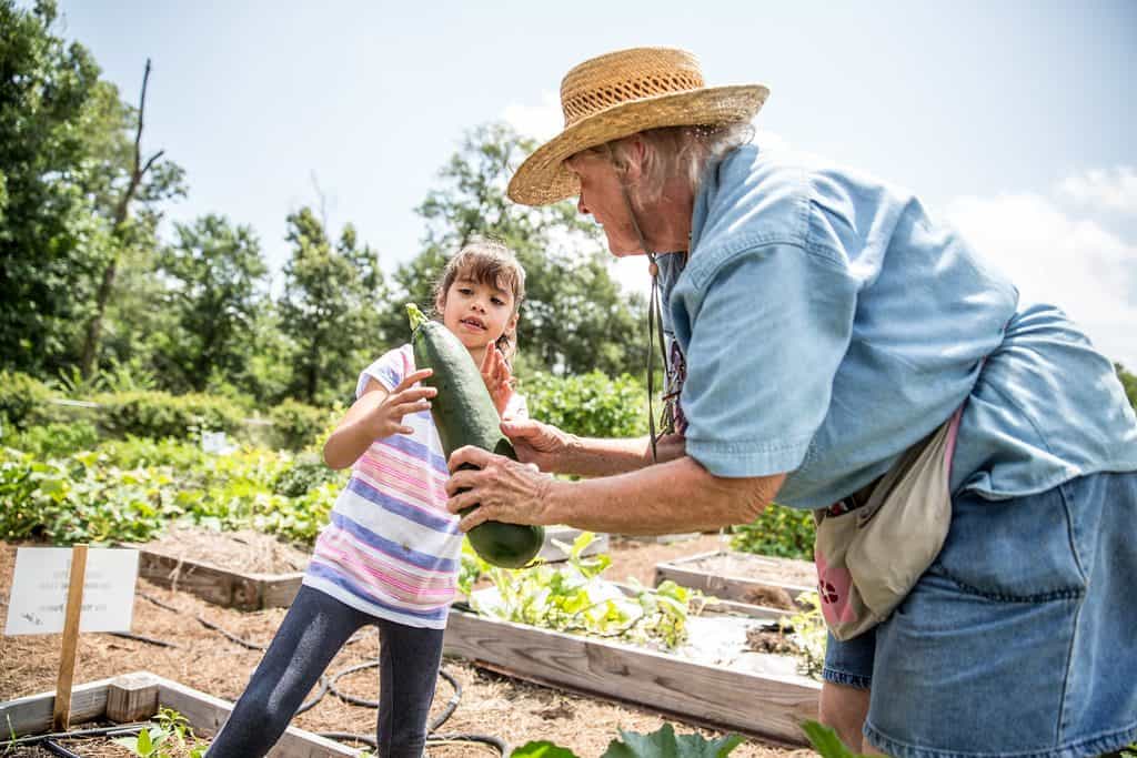 An old lady showing a fresh squash harvest to a little girl