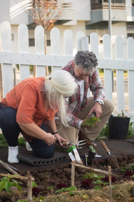 A couple doing gardening task