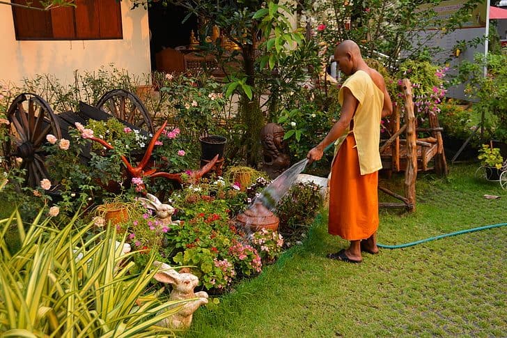 A monk gardener watering the plants