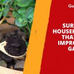 Surprising Household Items That Could Improve Your Garden