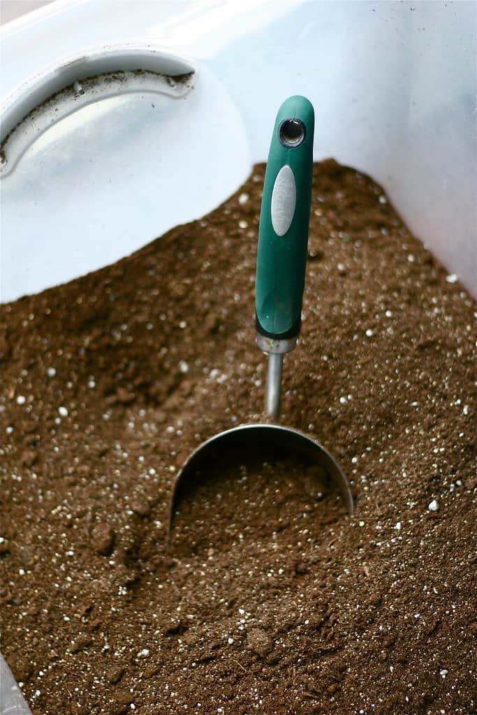 Small gardening scoop partially buried in a nutrient-rich seed starting mix, showcasing a blend of peat moss, vermiculite, and compost.