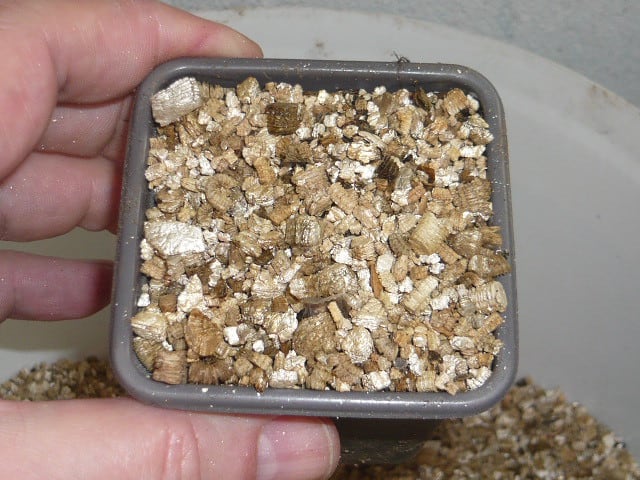 Vermiculite in a small seed tray.