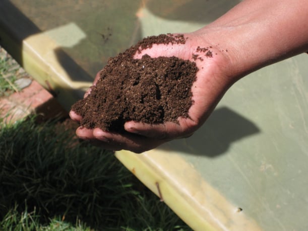 Hand holding a handful of finely textured final compost, demonstrating high-quality organic material.