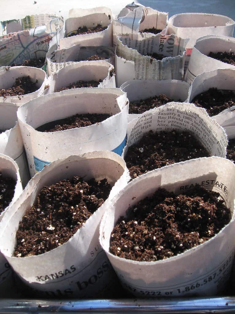 DIY newspaper bags filled with nutrient-rich seed starting mix.