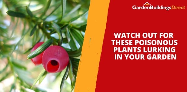Watch Out For These Poisonous Plants Lurking in Your Garden
