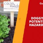 Doggy Dangers: Potential Garden Hazards for Dogs