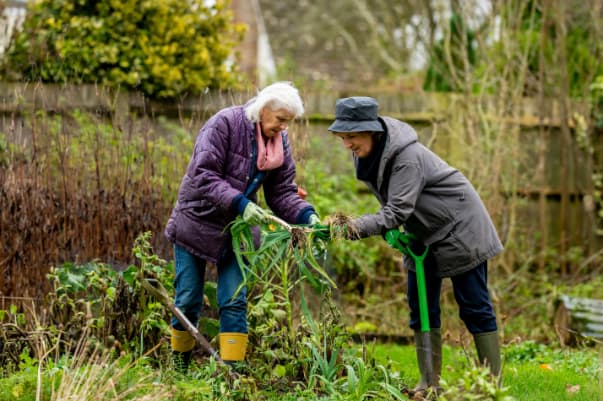 Two senior women engaged in gardening, inspecting the leaves of a withered plant with care and concern.
