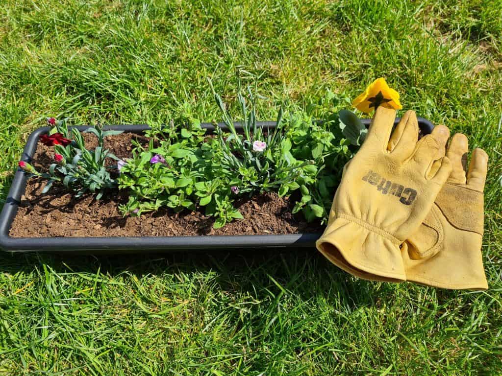 A pair of yellow gardening gloves on a planter