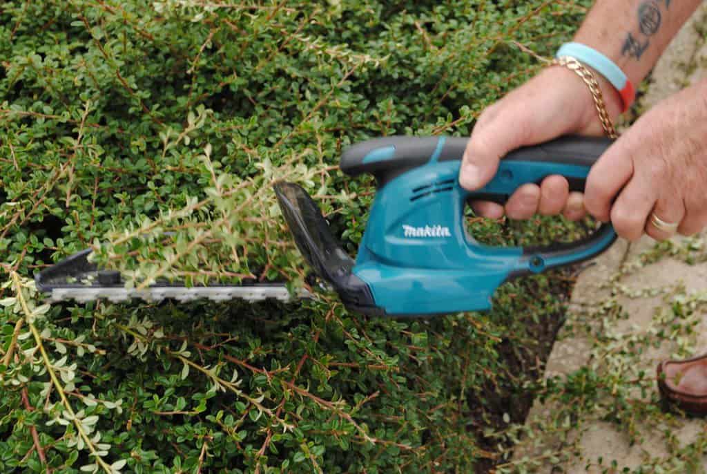 Hedge cutter power tool