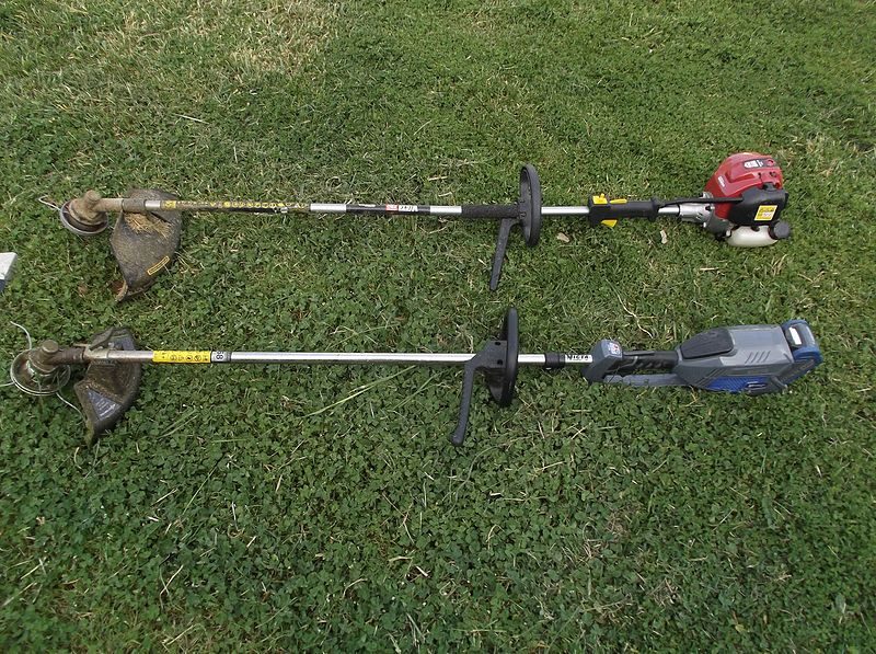 Use brushcutter and line trimmer on the lawn