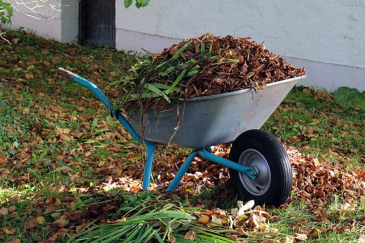 Garden wheelbarrow filled with grasses and leaves