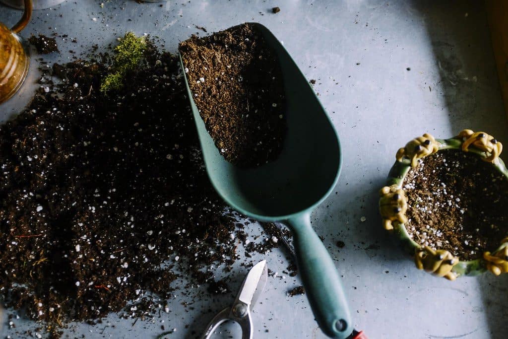 Hand trowels with soil