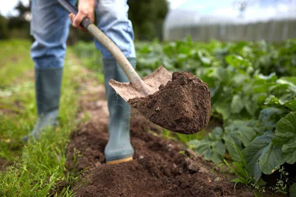 Digging shovels for gardening