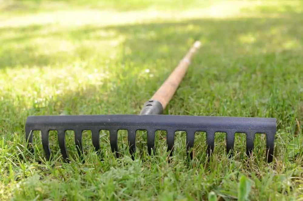 Bow rake for gardening