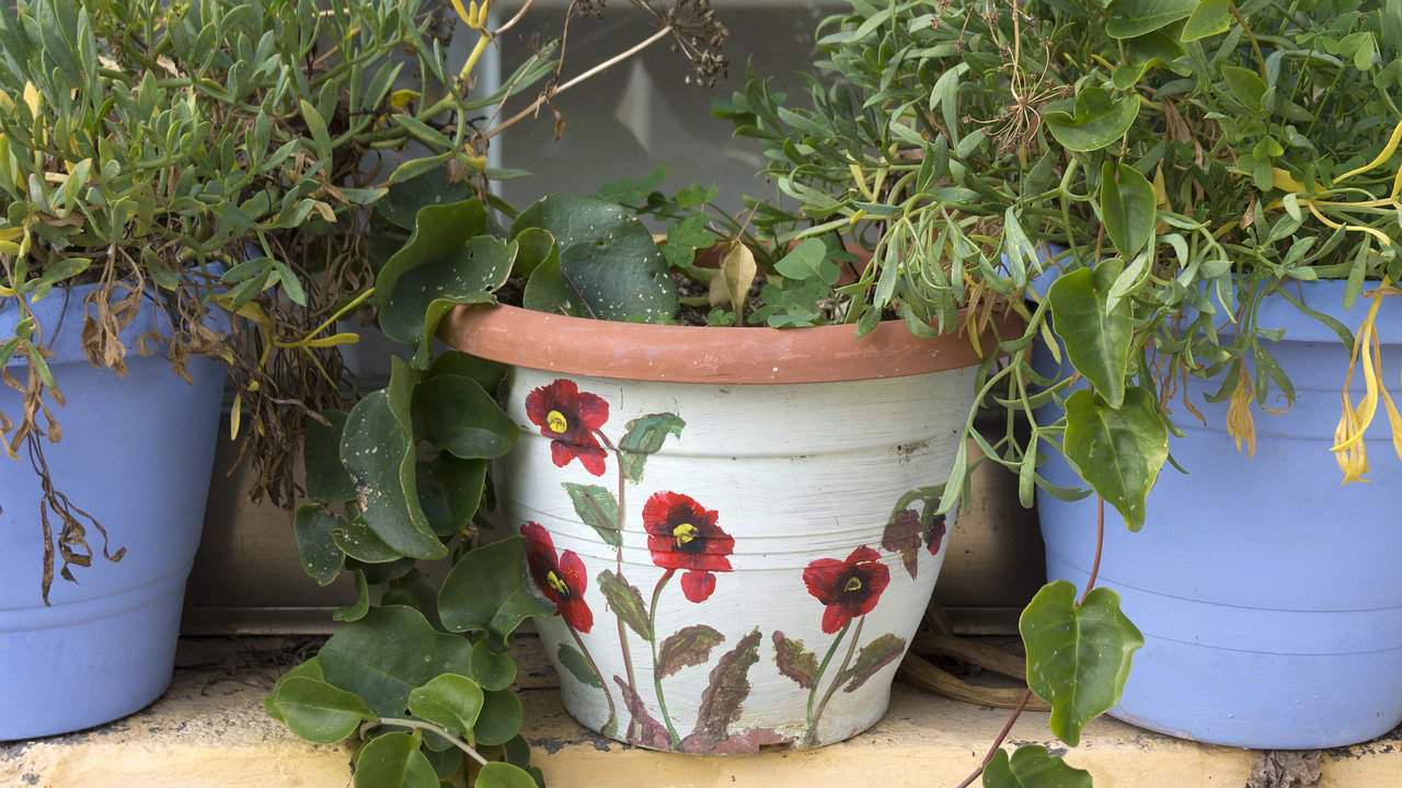 Flower-painted old clay plant pot