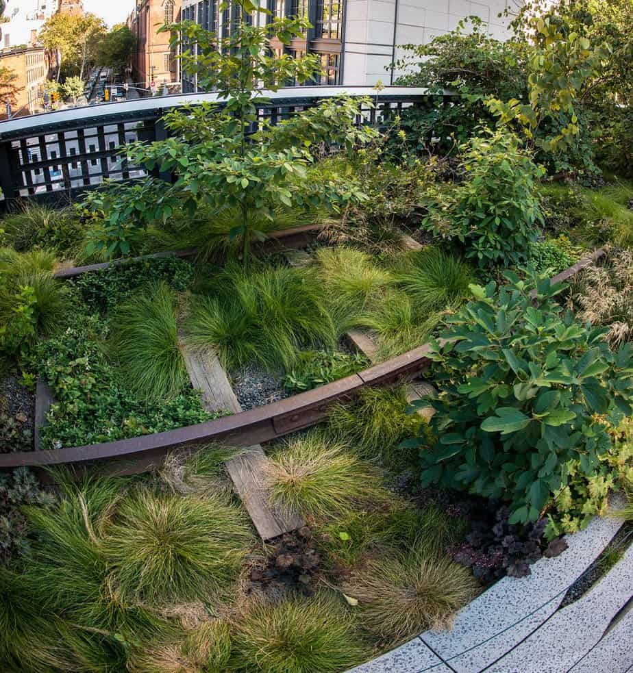 Cultivated green spaces on an elevated railway line in NYC