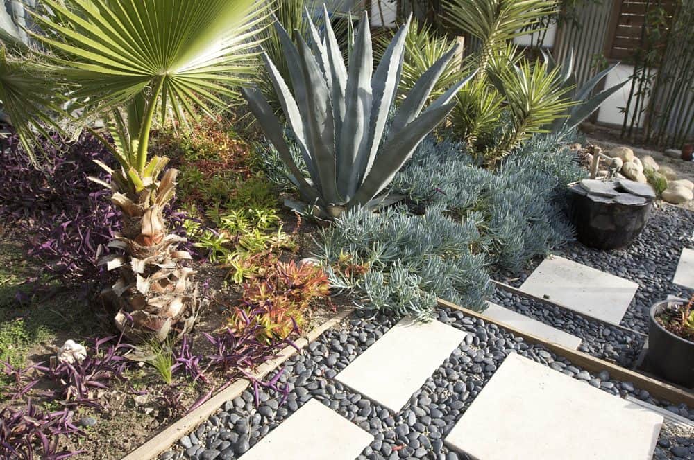 Native and drought tolerant landscaping with gravel rocks