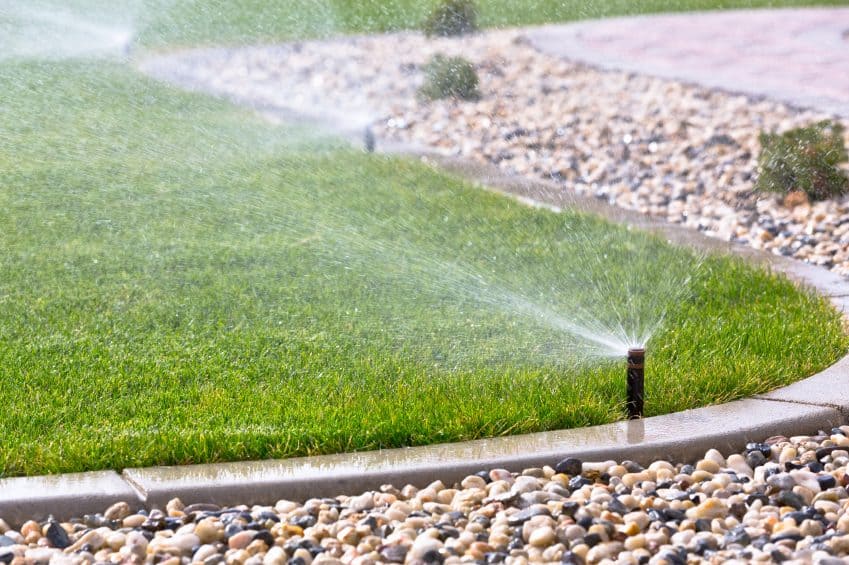 Automatic sprinkler for a low-maintenance garden
