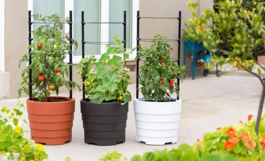 Container gardening for small gardens