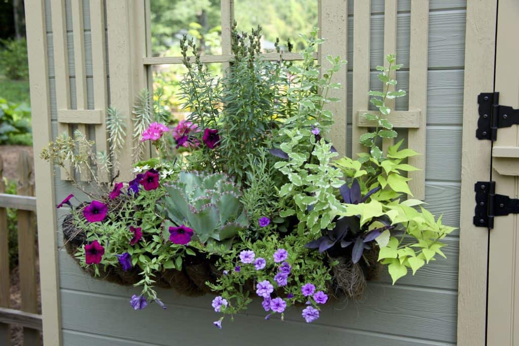 Small window boxes ideas
