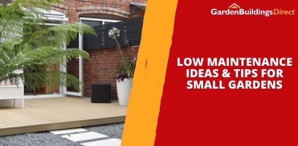 Low Maintenance Ideas & Tips for Small Gardens