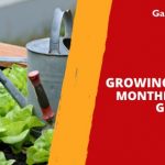 Growing Calendar: Monthly Sowing Guide