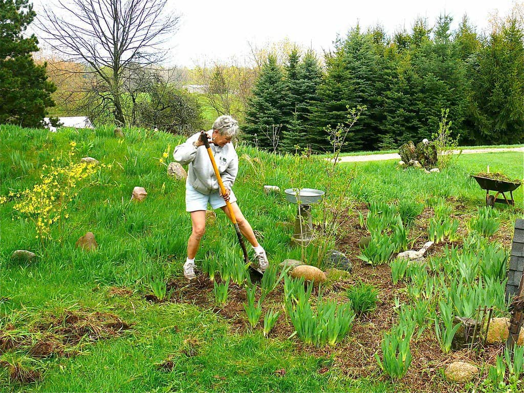 A woman holding a shovel, tending her garden