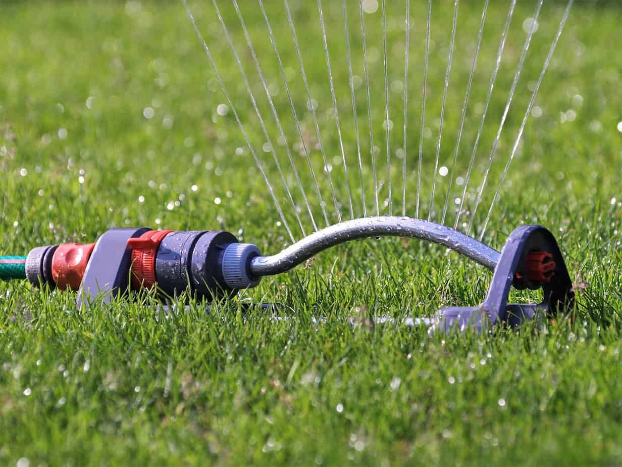 Lawn sprinkler