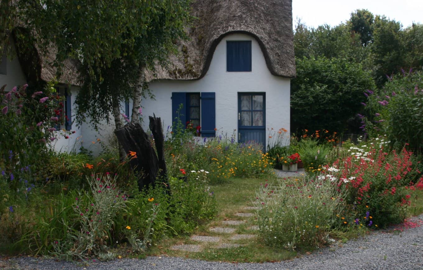 A charming cottage with blue shutters and a thatched roof, surrounded by colourful wildflowers and lush greenery.