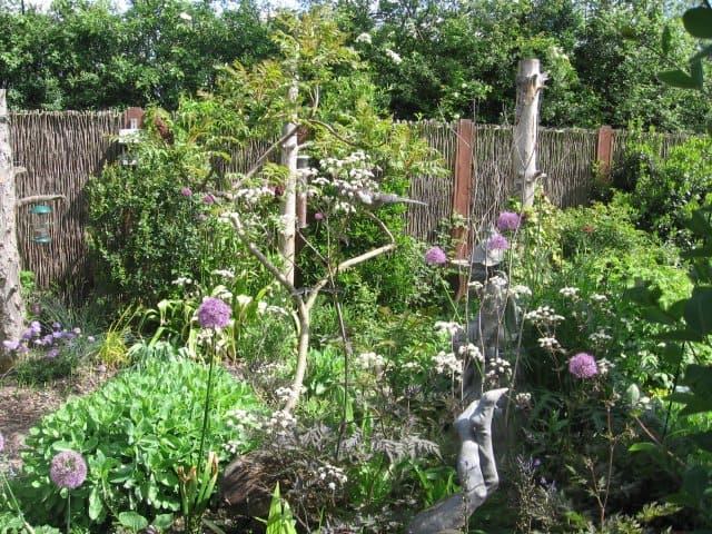  A lush garden with various plants, flowers, and trees, surrounded by a rustic wooden fence in the background.