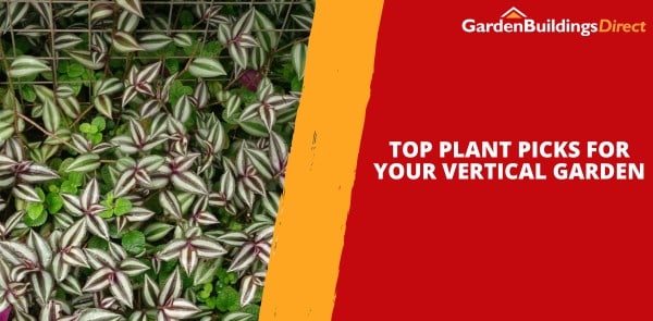 Climbing to New Heights: Top Plant Picks for Your Vertical Garden