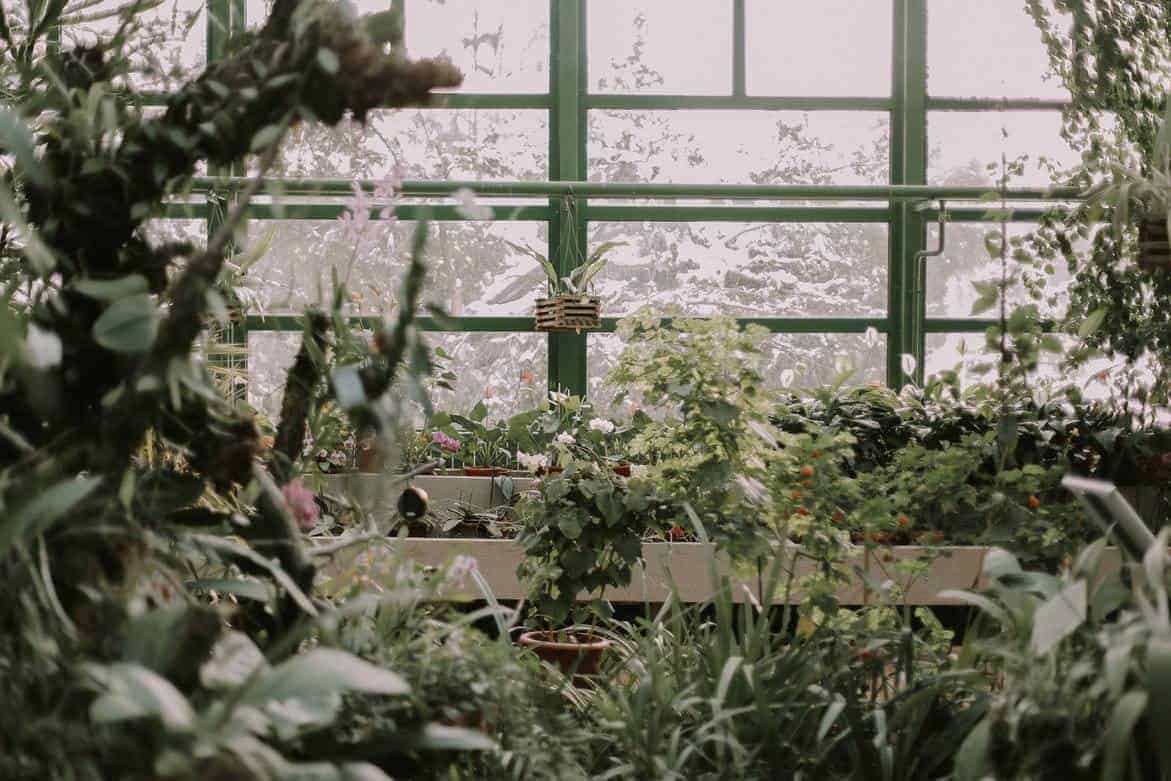 A glass greenhouse in the snow