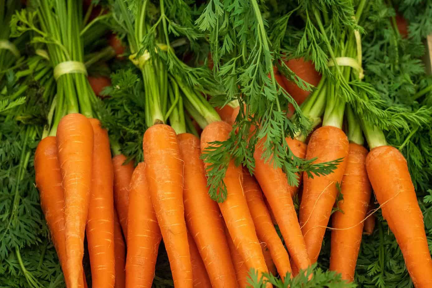 Carrots