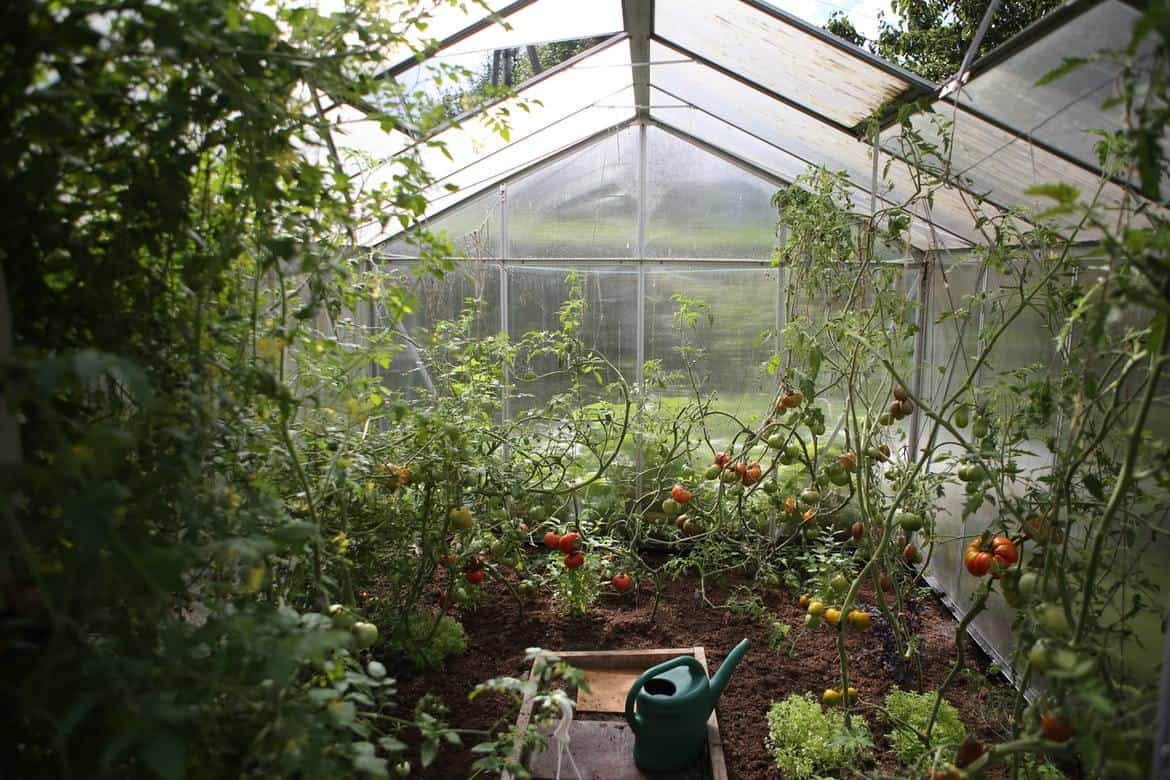 Greenhouse in autumn