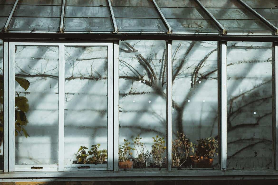 A greenhouse in winter at night