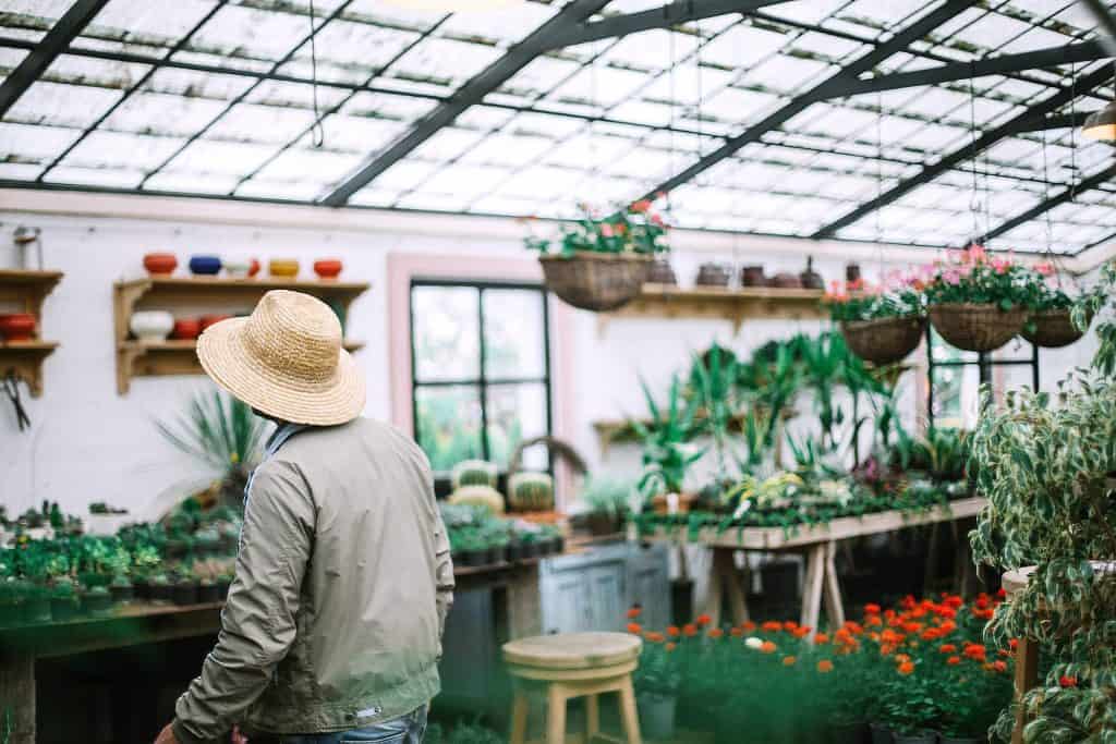 A gardener on a plant-filled greenhouse