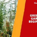 Greenhouse Gardening Beginner Tips