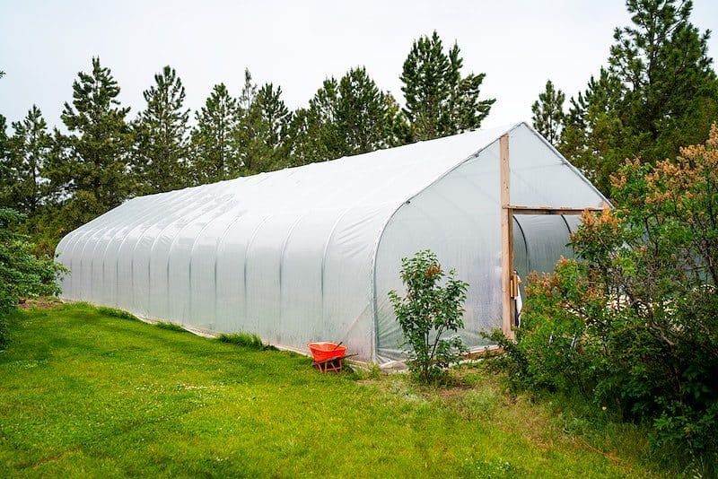 High Tunnel Farming on Fleshman Farm