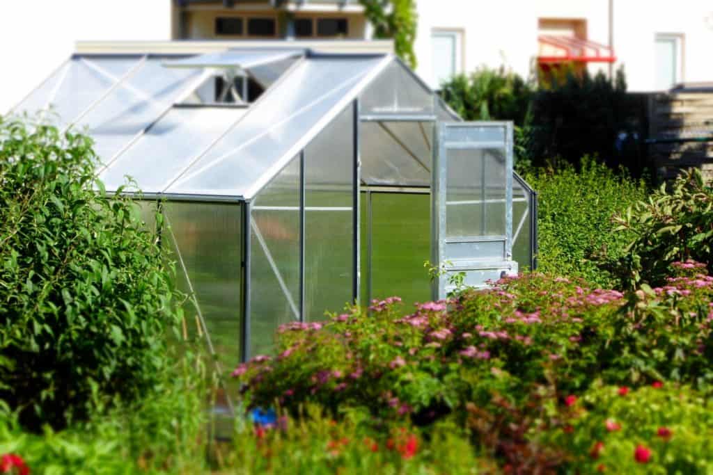 Glass greenhouse positioned amongst the lush greenery and shrubs