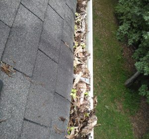 Guttering full dried leaves